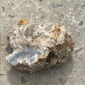 Natural Raw Sandstone with Quartz Flint Deposits picked in remote TN Mountains